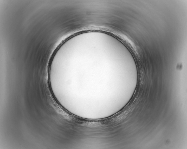 X0000093591280200711121116