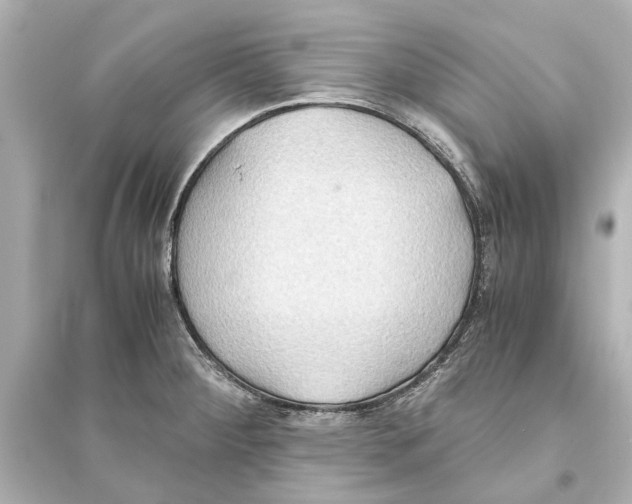 X0000093591284200711121116