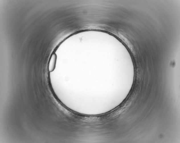 X0000093591285200711121116