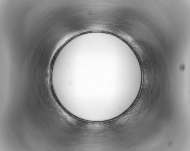 X0000093591286200711121116