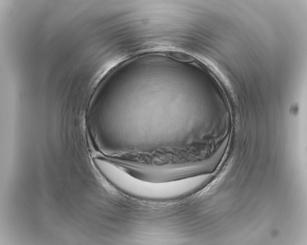 X0000093591289200711121116