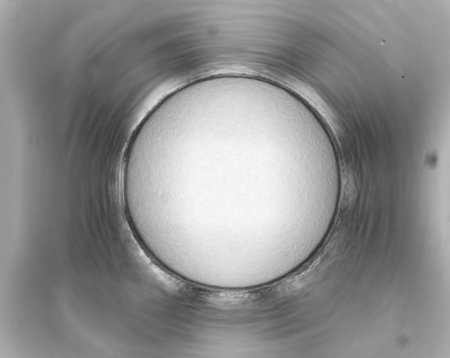 X0000093591290200711121116