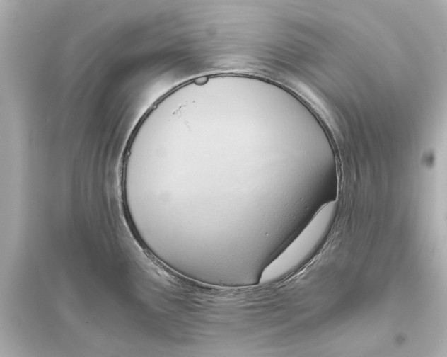 X0000093591291200711121116