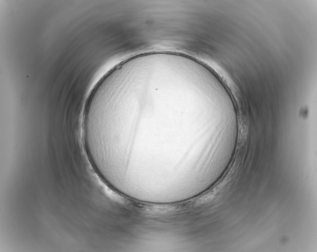 X0000093591294200711121116