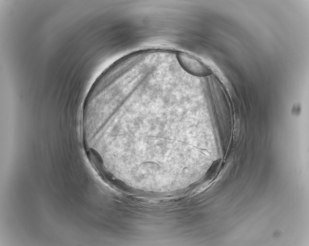 X0000093591295200711121116