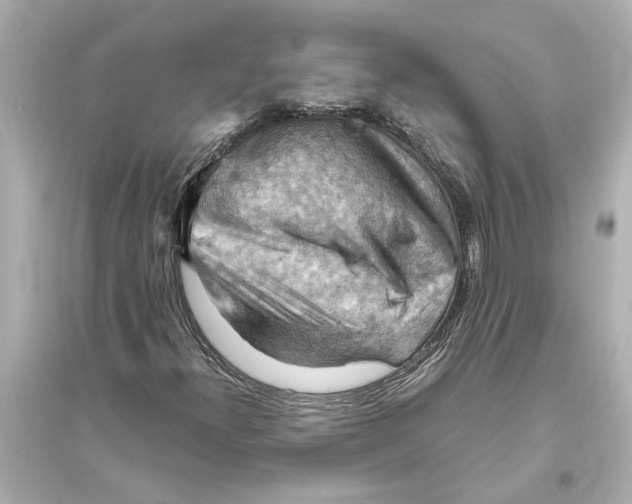 X0000093591300200711121115