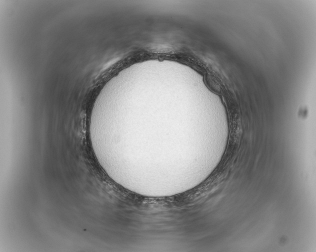 X0000093591301200711121115