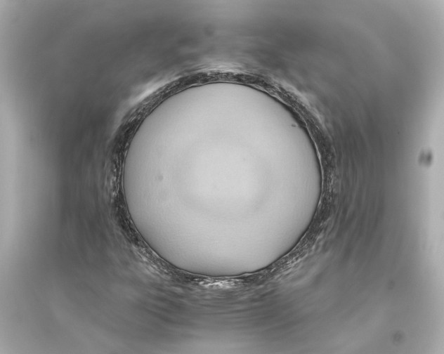 X0000093591303200711121115