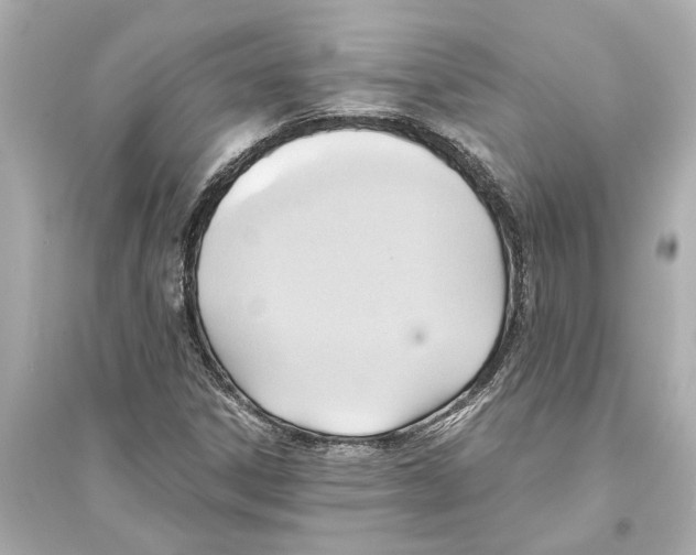 X0000093591306200711121115
