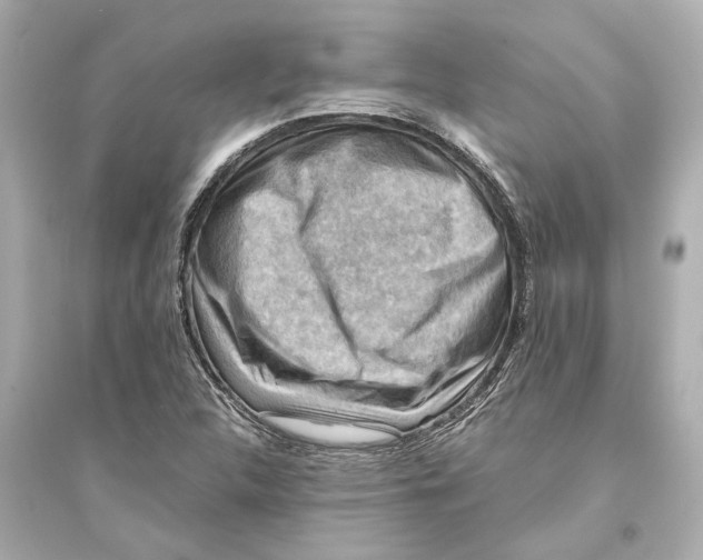 X0000093591312200711121115