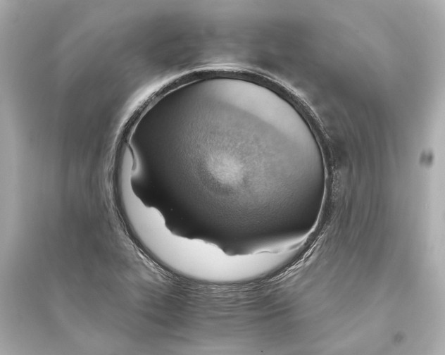 X0000093591319200711121115