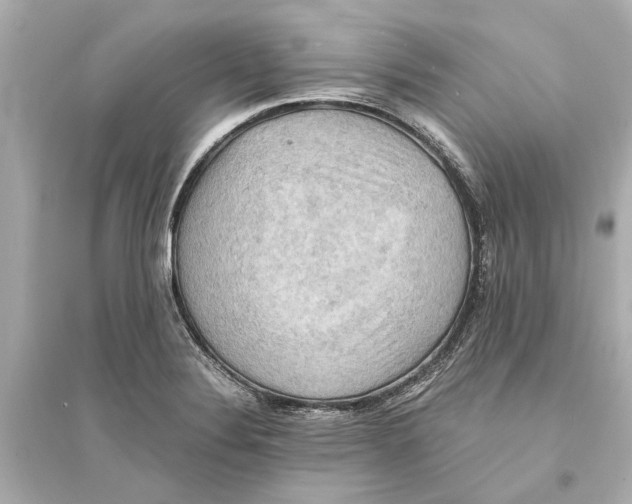 X0000093591324200711121115