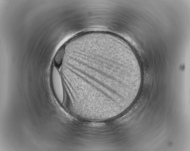 X0000093591325200711121115