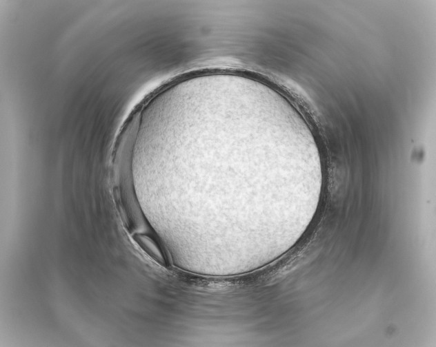 X0000093591326200711121115