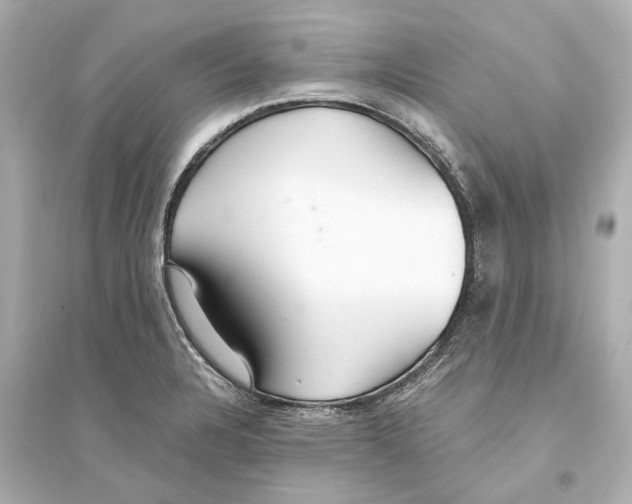 X0000093591328200711121115
