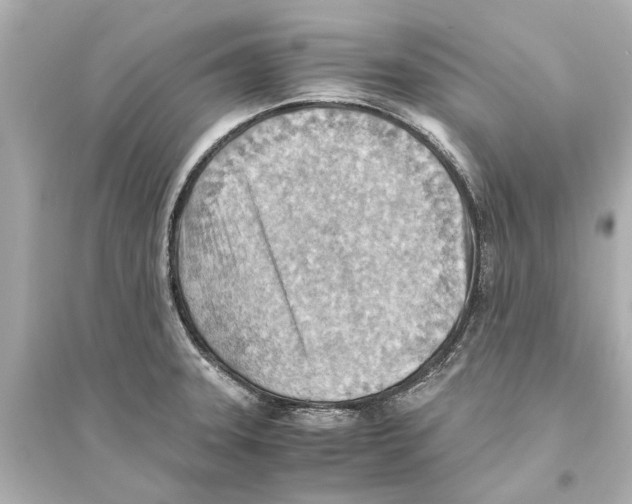 X0000093591331200711121115