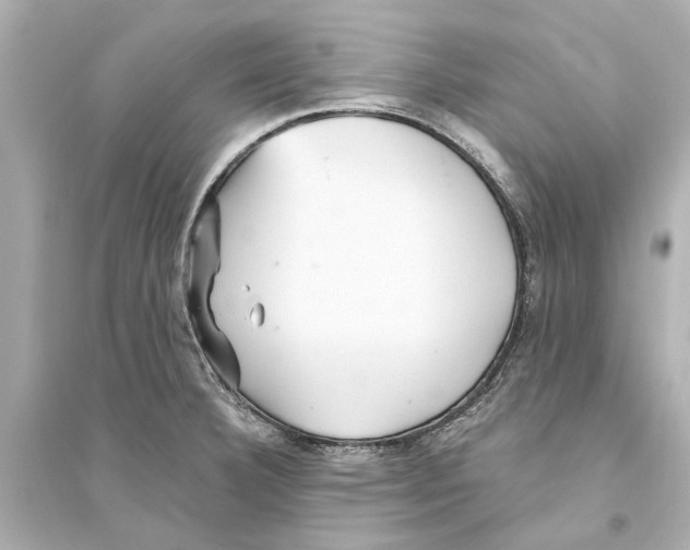 X0000093591332200711121115
