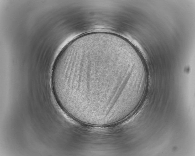 X0000093591333200711121115