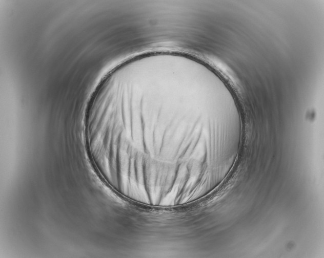X0000093591334200711121115