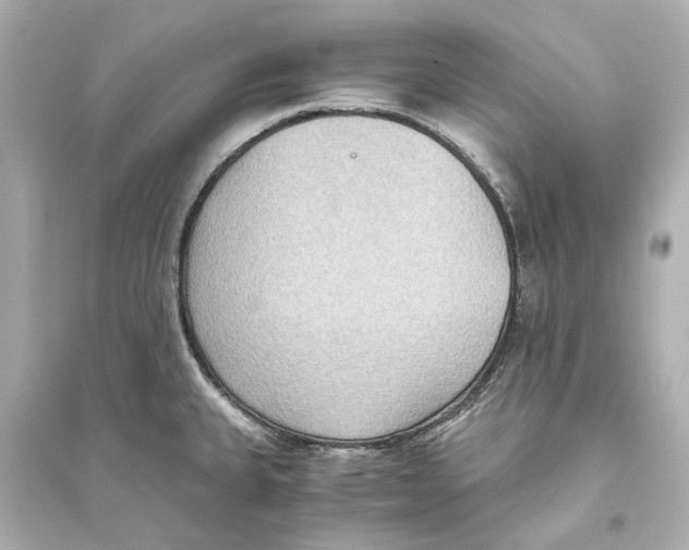 X0000093591335200711121115