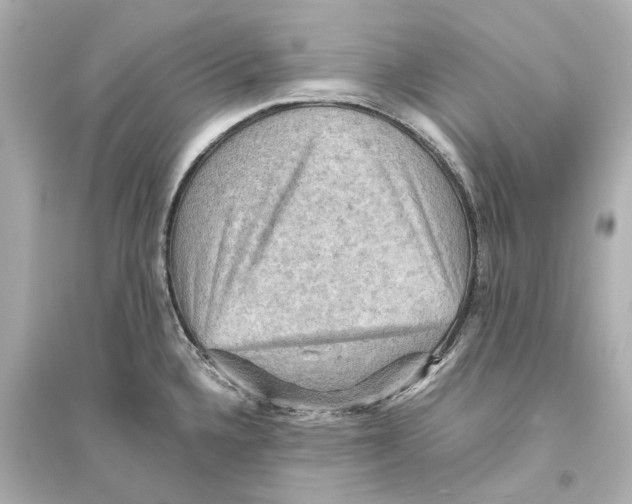 X0000093591336200711121115