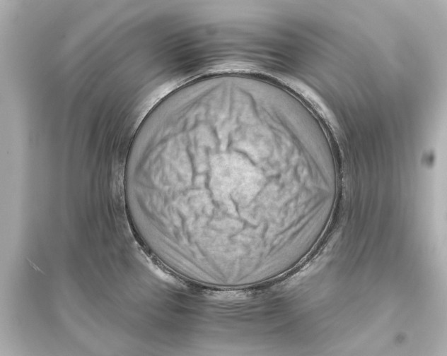 X0000093591337200711121115