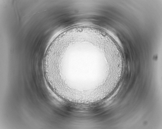X0000093591338200711121115