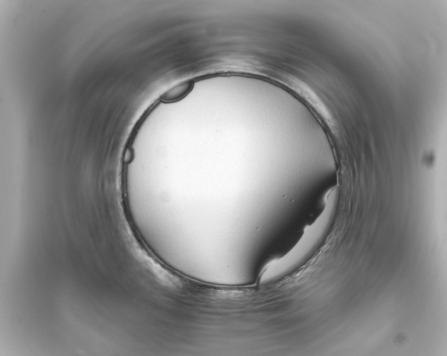 X0000093591339200711121115
