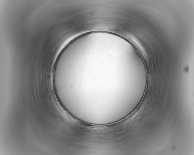 X0000093591340200711121115