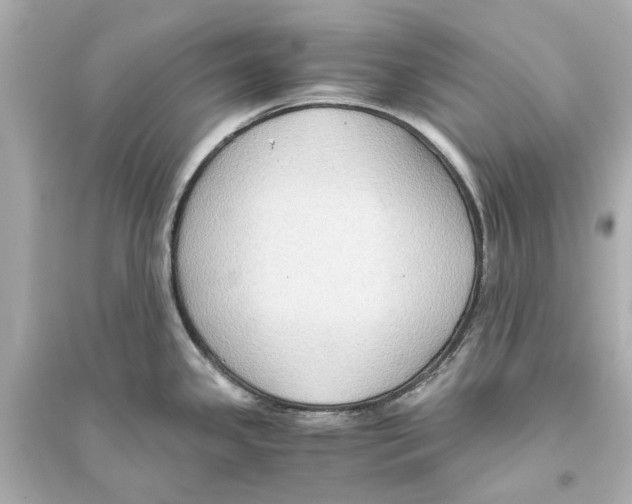 X0000093591341200711121115