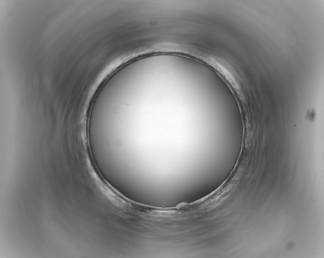 X0000093591342200711121115