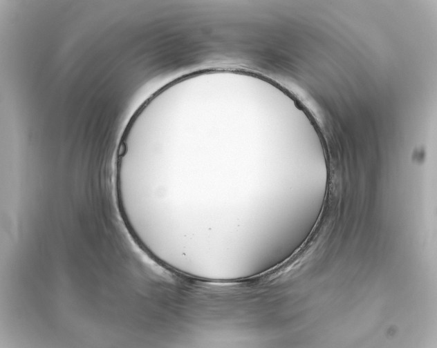 X0000093591343200711121116