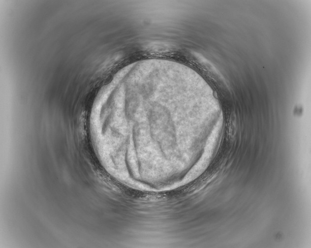 X0000093591346200711121115