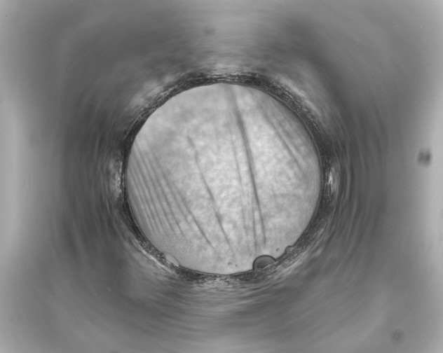 X0000093591348200711121115