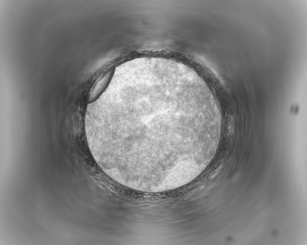 X0000093591350200711121115