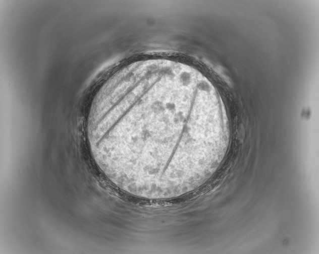 X0000093591351200711121114