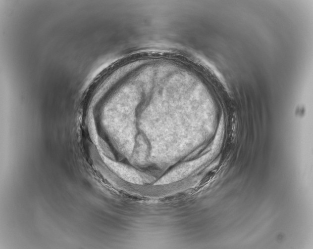 X0000093591352200711121114