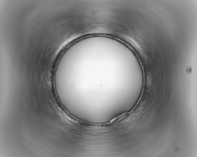 X0000093591356200711121114