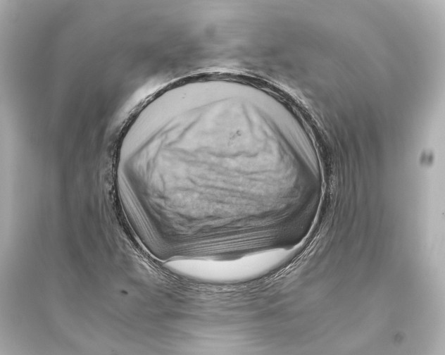 X0000093591359200711121114