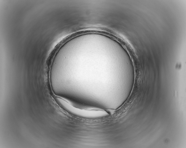 X0000093591360200711121114