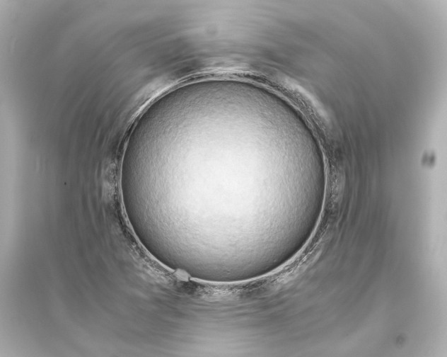 X0000093591361200711121114