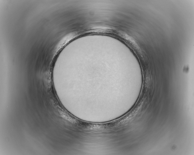 X0000093591362200711121114