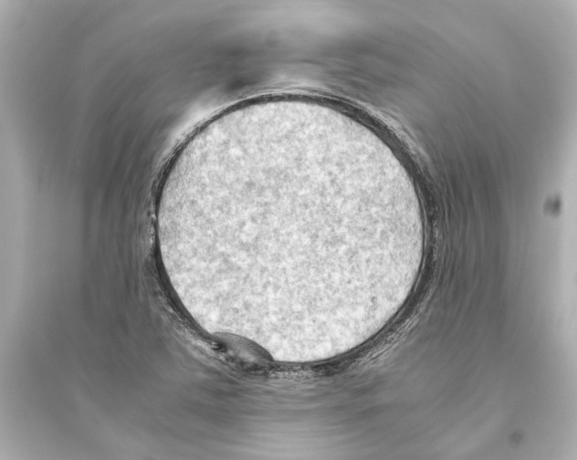 X0000093591363200711121114