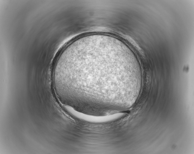 X0000093591364200711121114