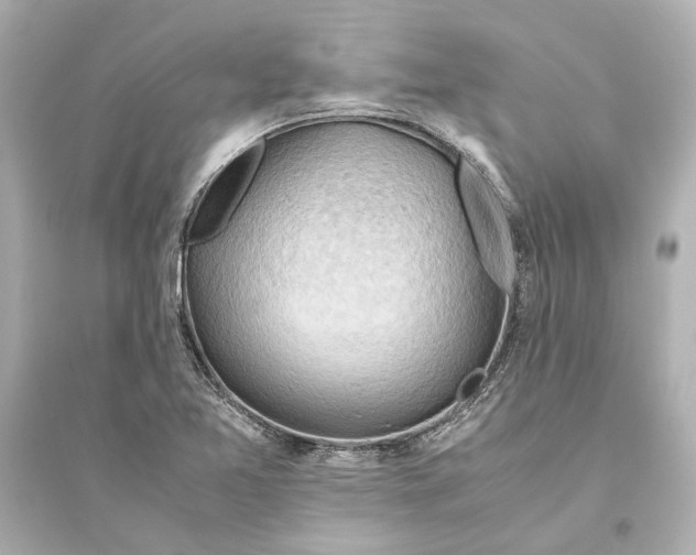 X0000093591365200711121114