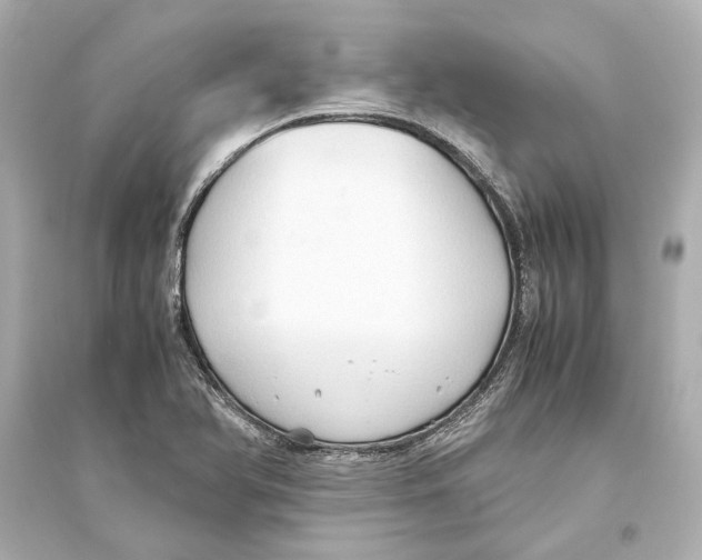 X0000093591366200711121114
