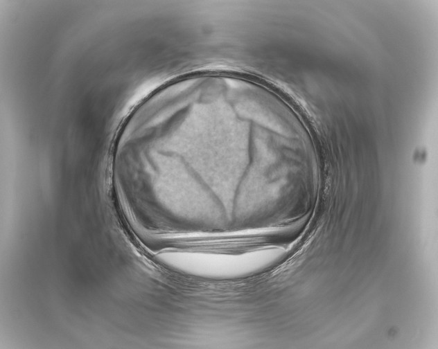 X0000093591367200711121114