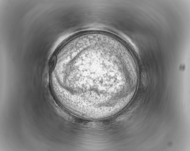 X0000093591368200711121114
