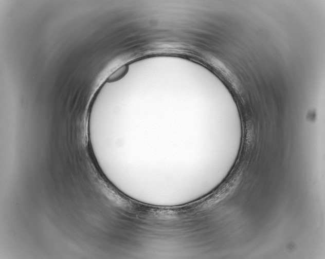 X0000093591370200711121114