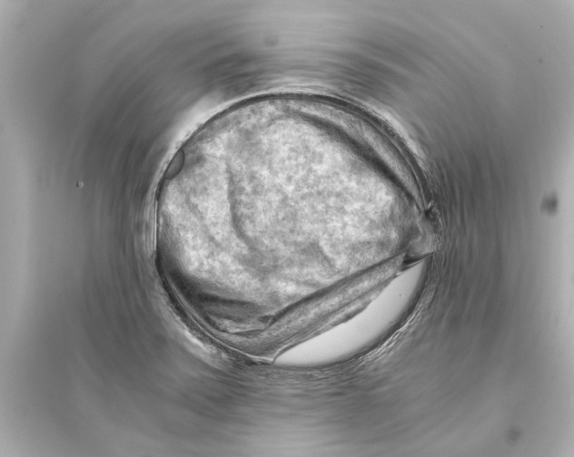 X0000093591371200711121114